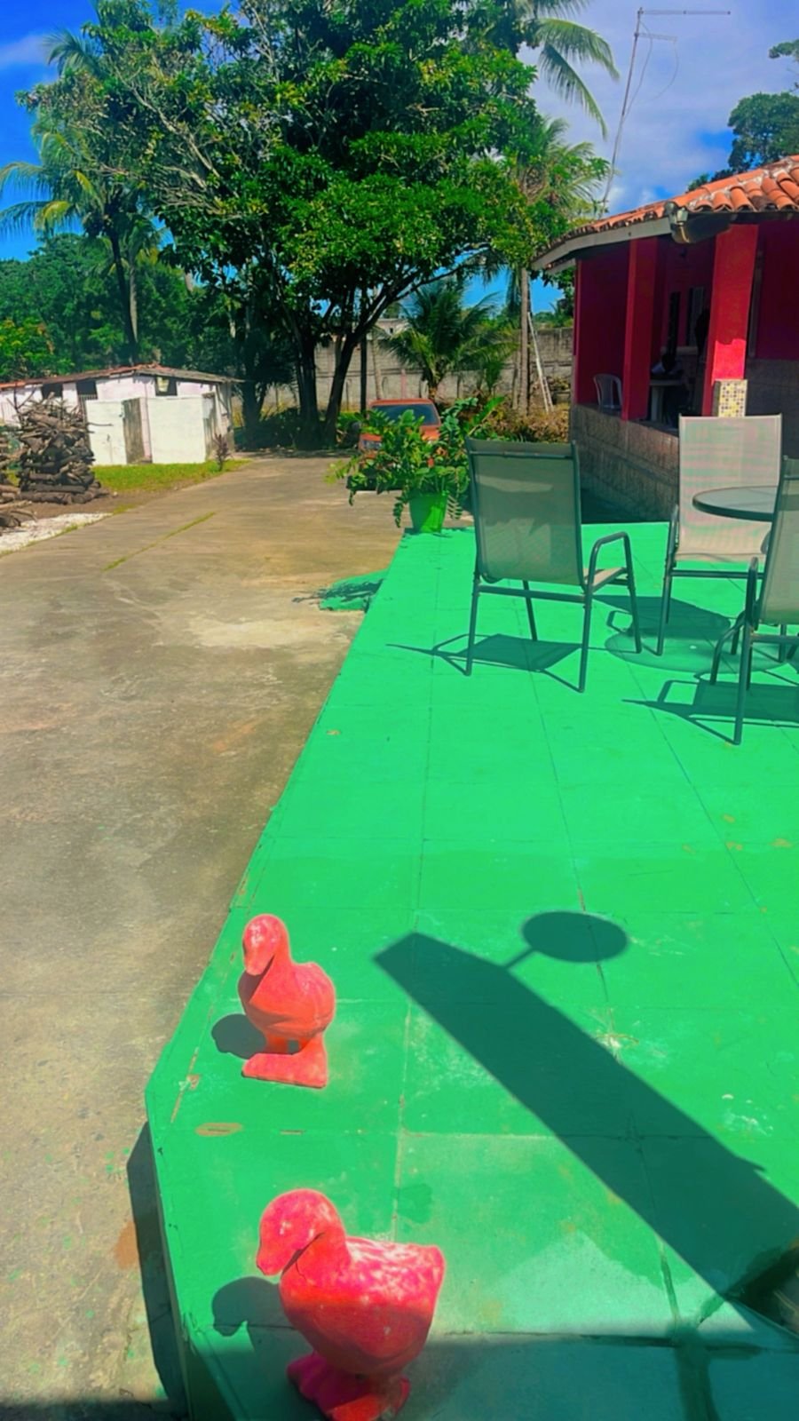 WhatsApp Image 2025-08-04 at 10.29.50