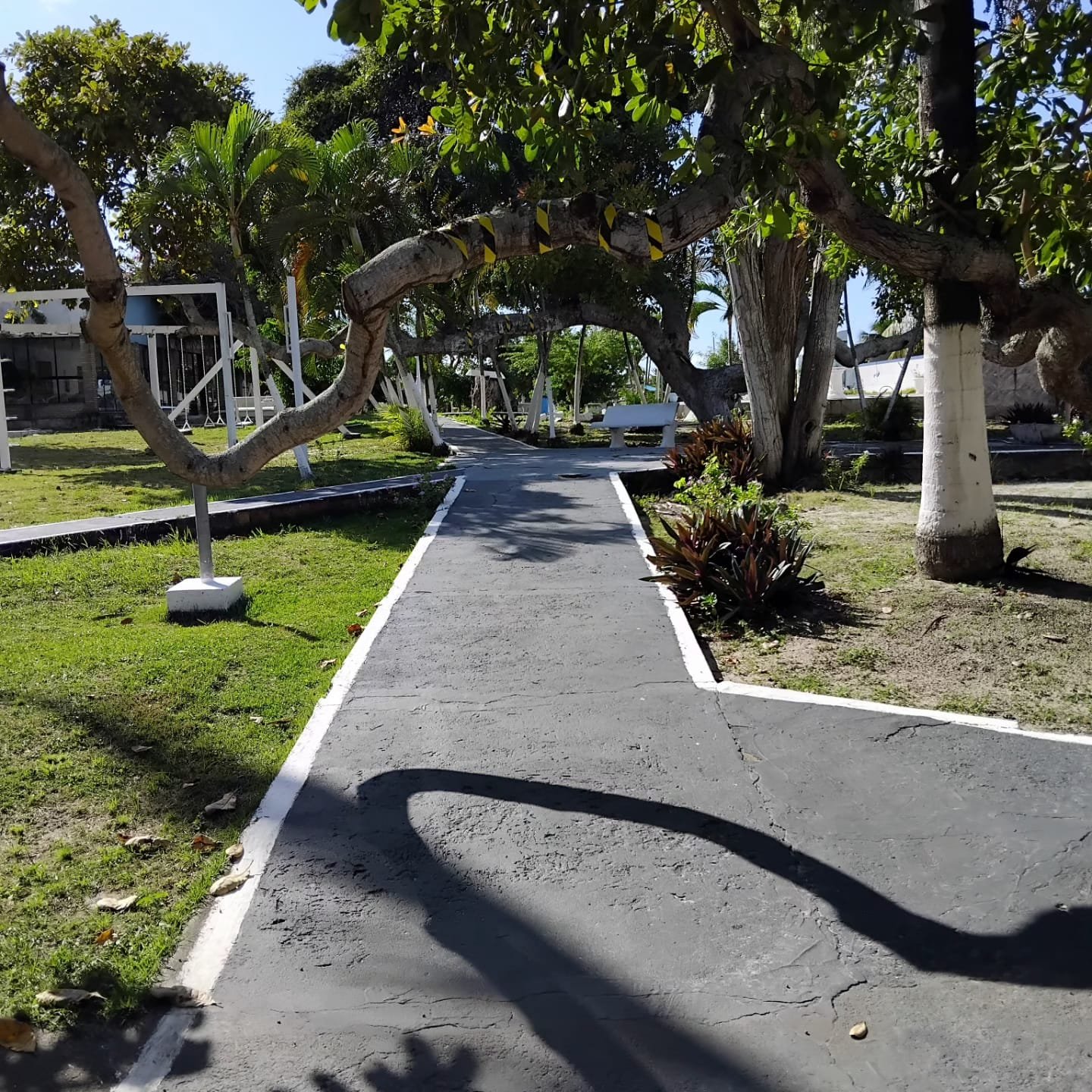 WhatsApp Image 2025-08-05 at 19.50.40