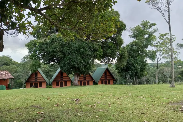 tratamento-de-alcoolismo-em-jaua-ba