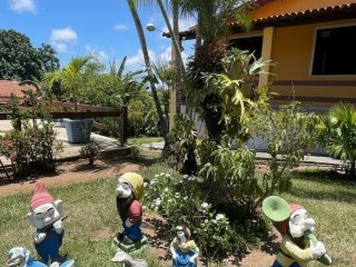 WhatsApp Image 2026-02-12 at 15.04.25 (1)